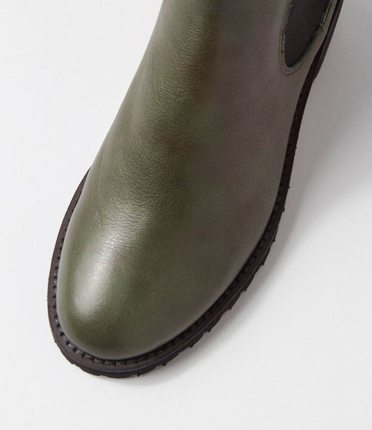 Biscoti | Olive Leather